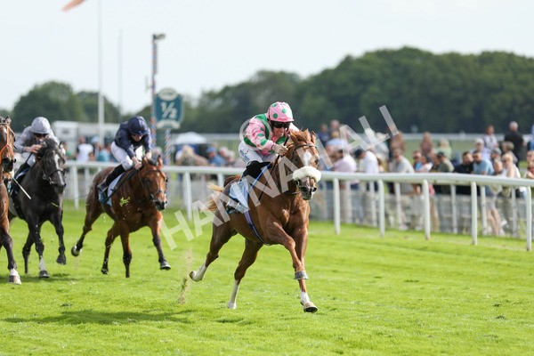 170523-Race 6-Mon Na Slieve- 7019 - Race 6 4.45pm British EBF 40th Anniversary Novice Stakes