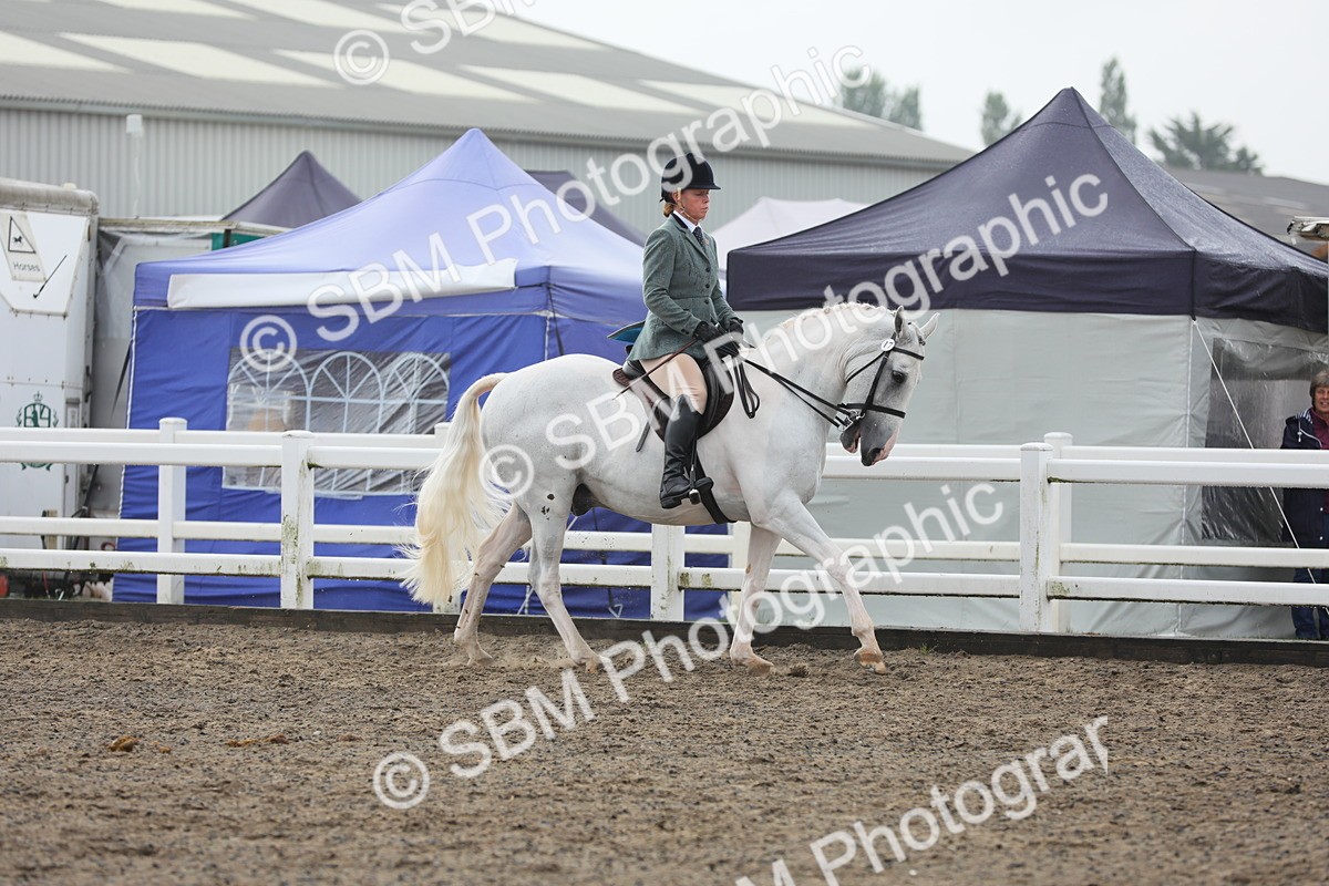 SBM_21275 - Class 805 - Ridden Veteran Horse