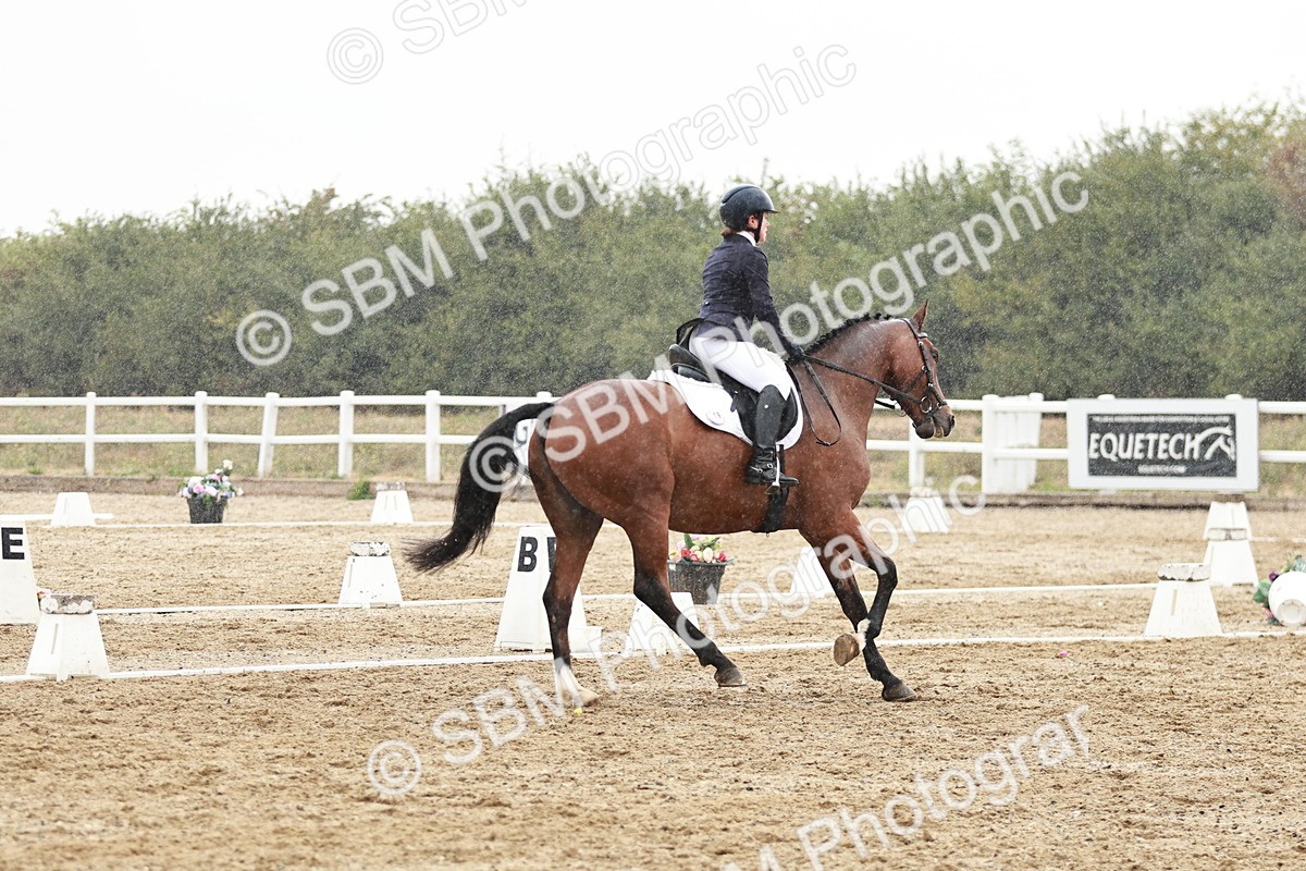 SBM_003874