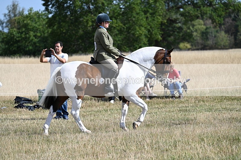WJ7_2688 - Class 8 Ridden Tack & Turnout