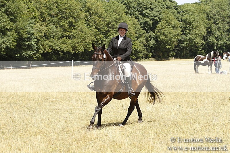 _BS_0797 - BVRC Show 2018 Ring 1