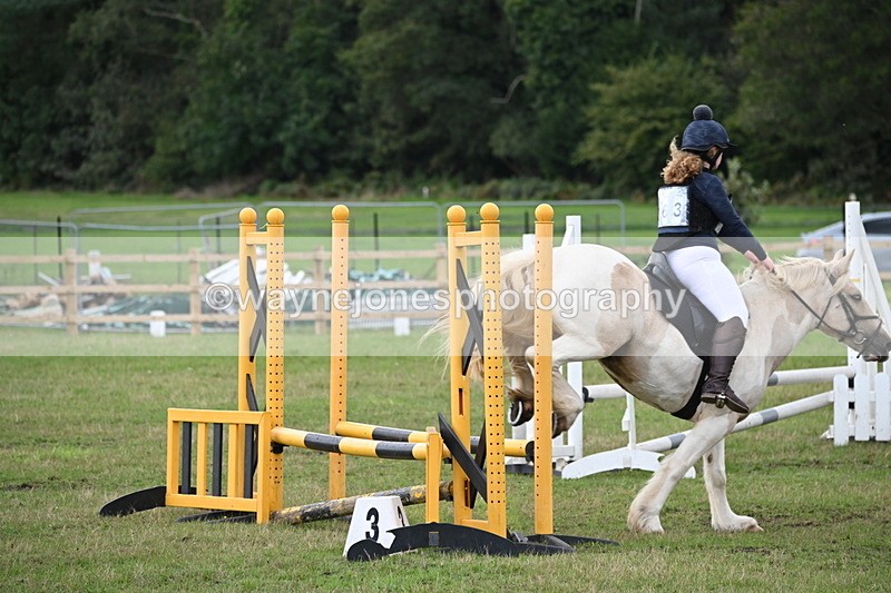 WJ6_1683 - 60cm Time 12:11 to 12:28