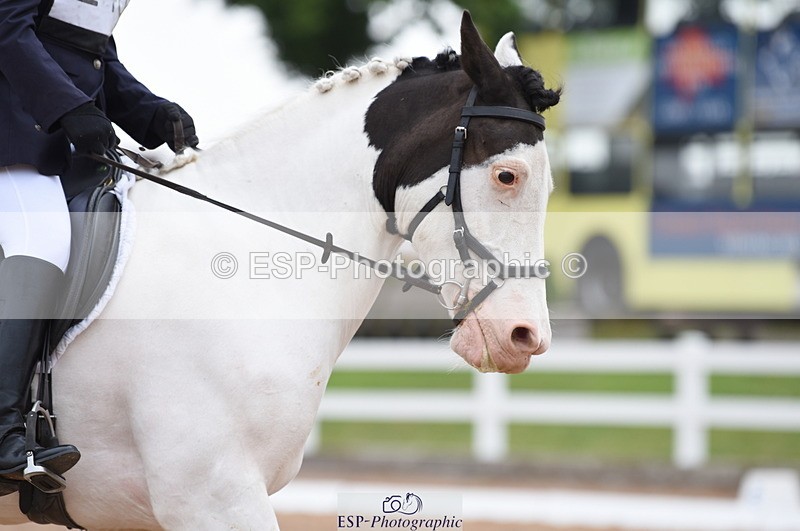 230708A-111020-01519 - Prelim 7