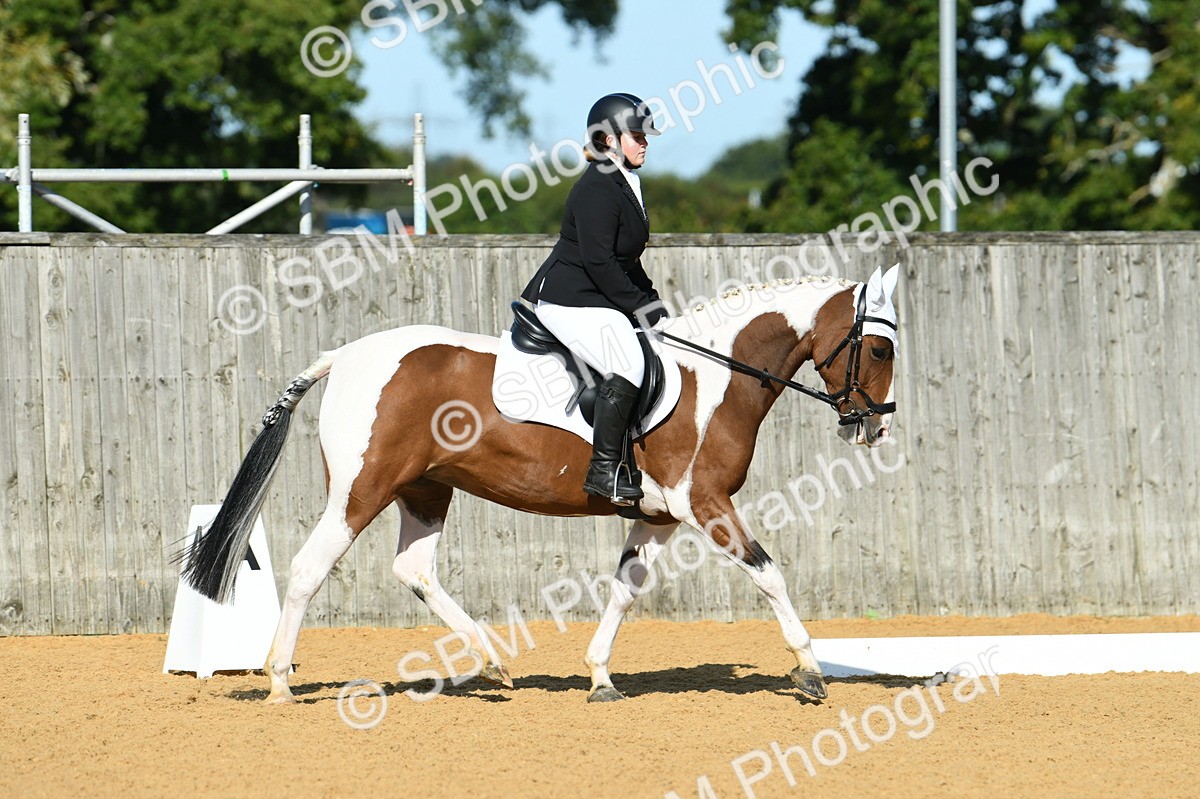 SBM_17906 - D4 - Small Tour Championship - Intro B