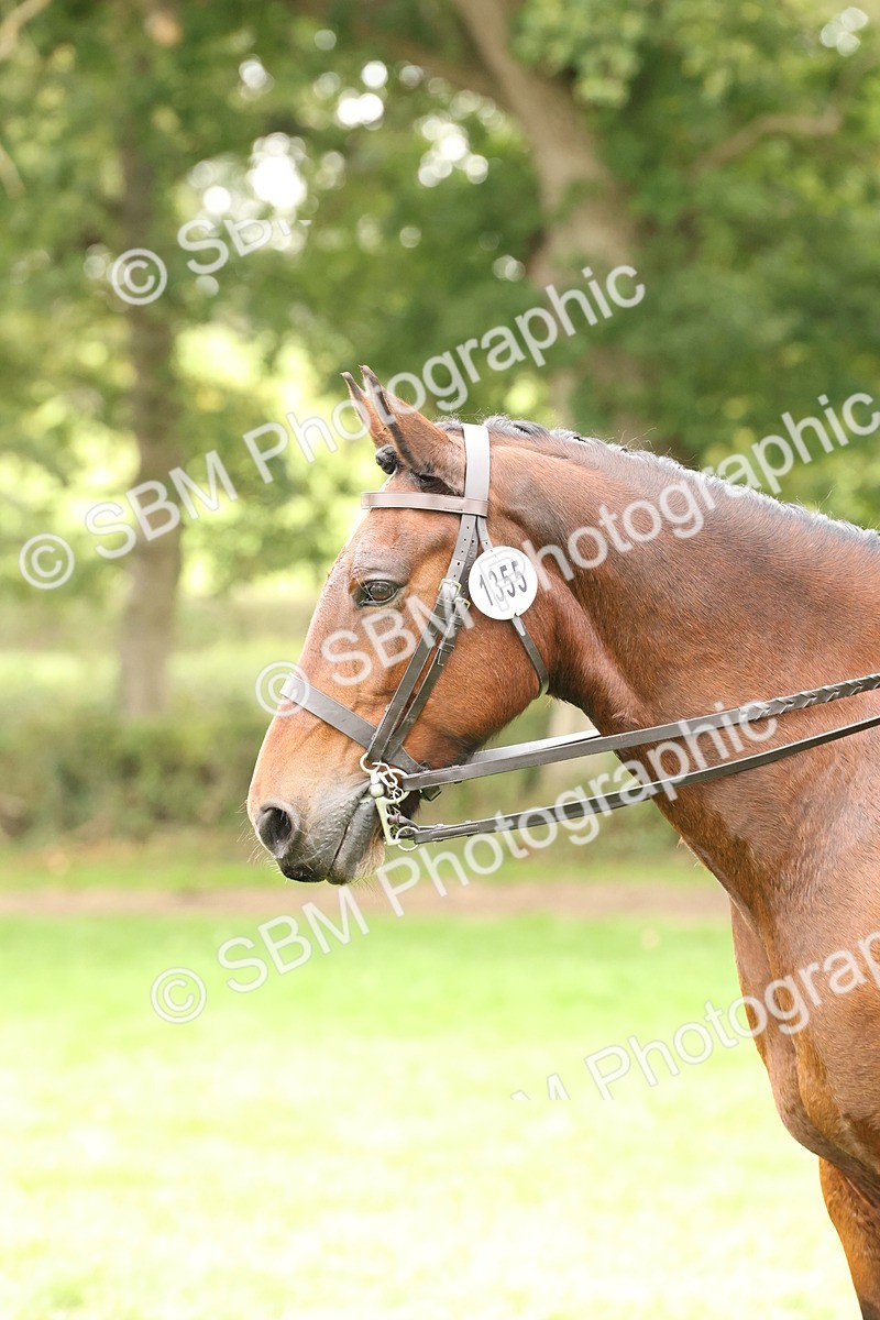 SBM_66377 - S66 - Hunter Ridden