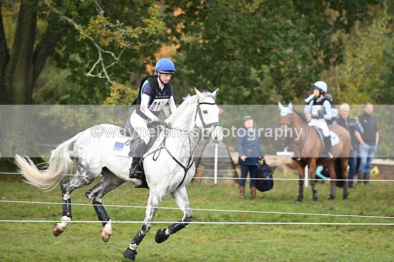 WJ6_1949 - 80cm Cam 1 Time 10:08 to 10:45