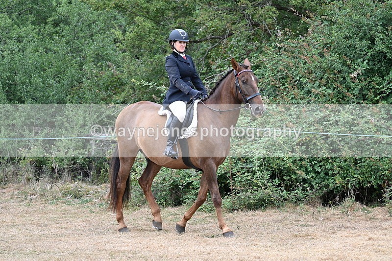 WJ7_0758 - Class 7 Riding Club Show Horse