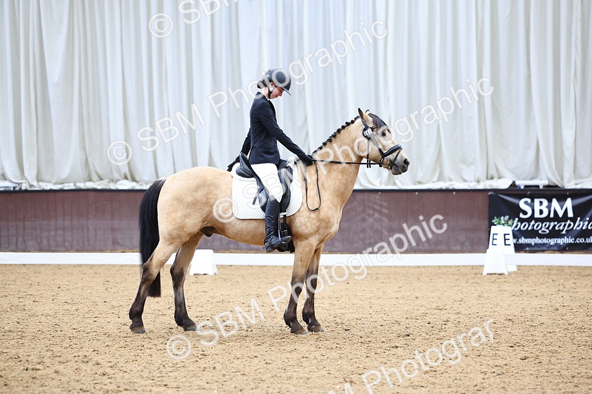 SBM_005422 - Elementary 2