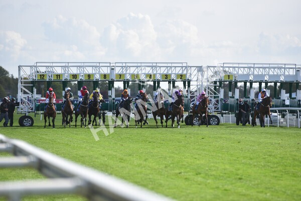 yr13052021r7-9 - Race 7 4.50pm Autohorn Stakes