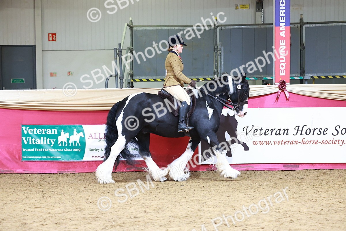 SBM_06171 - Class 12R - Ridden Pre-Vet