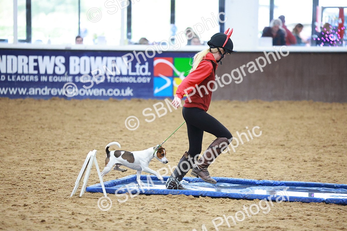 SBM_002122 - Class 3 - Horse & Hound (60cm)