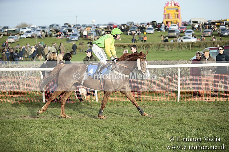 PtP 230319 530 - VWH Hunt Siddington Point-to-Point Racing 23/03/19