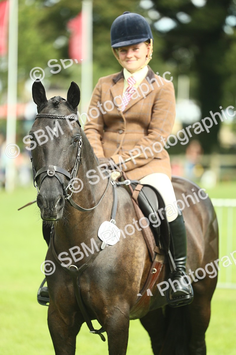 SBM_44802 - S31 - Working Hunter Pony