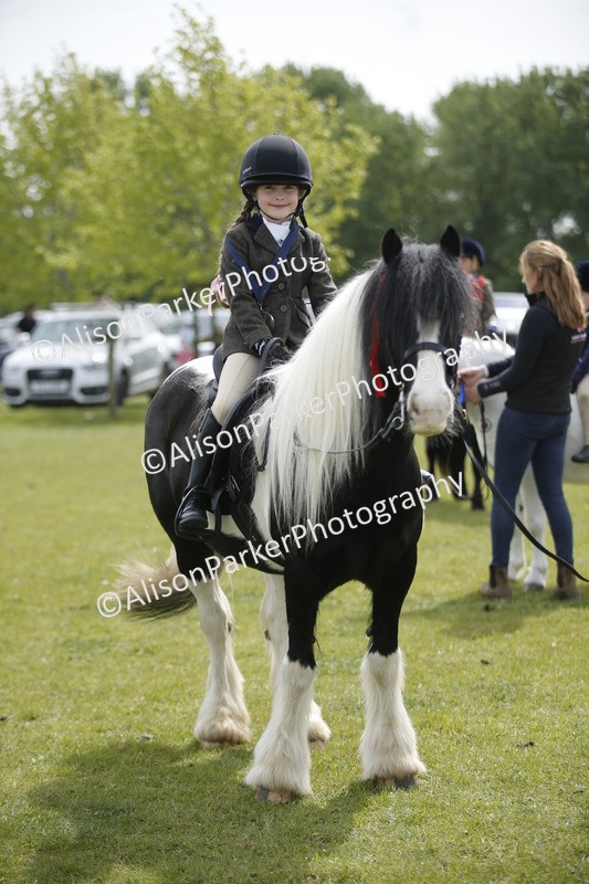 20260426-3480 - Class 11 - Best Mane and Tail