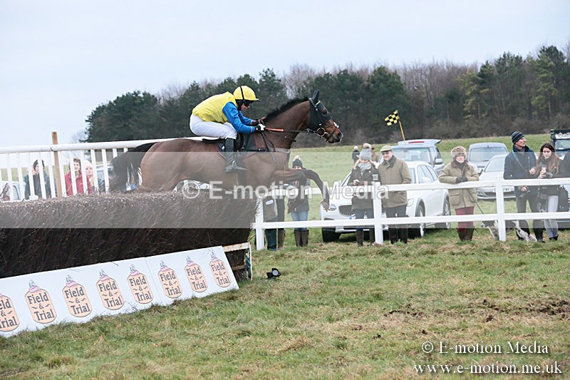 PtP 060119 493 - Larkhill Racing Club - Point-to-Point- 06/01/2019