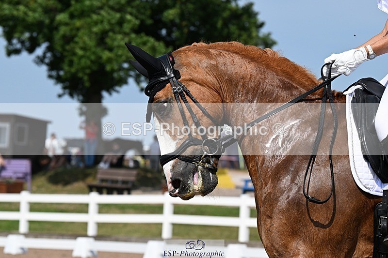 250621-161013-12009 - Cls 33 - Medium 6