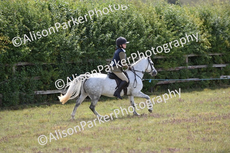 20250831-3948 - Class 11 - Working Hunter Pony 13hh and Under