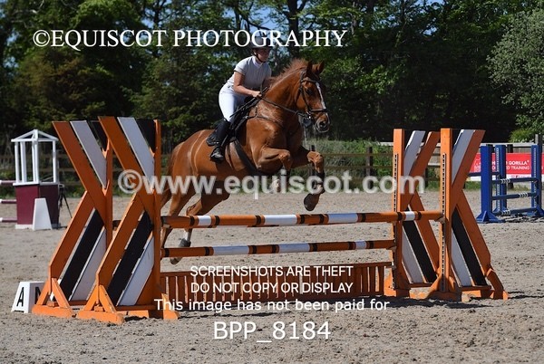 BPP_8184 - CLASS 4 Senior Discovery/ 1m Open