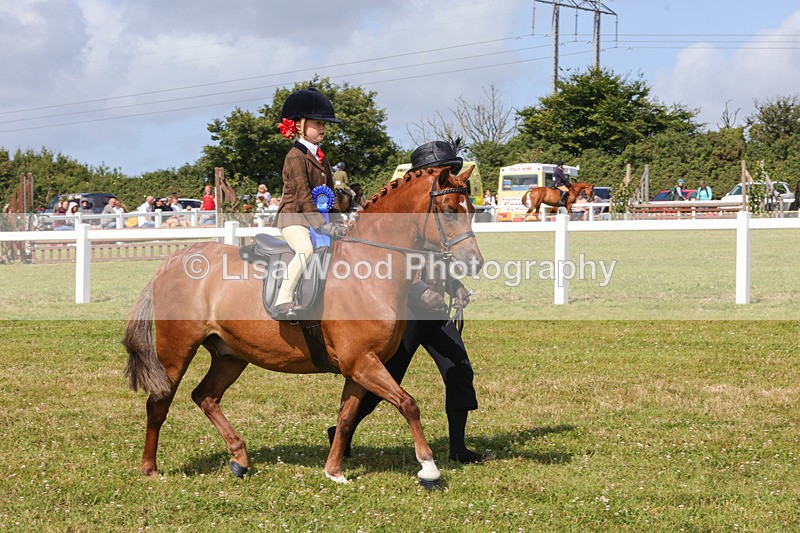 1X9A3700 - Class 29: Lead Rein SP/SHP