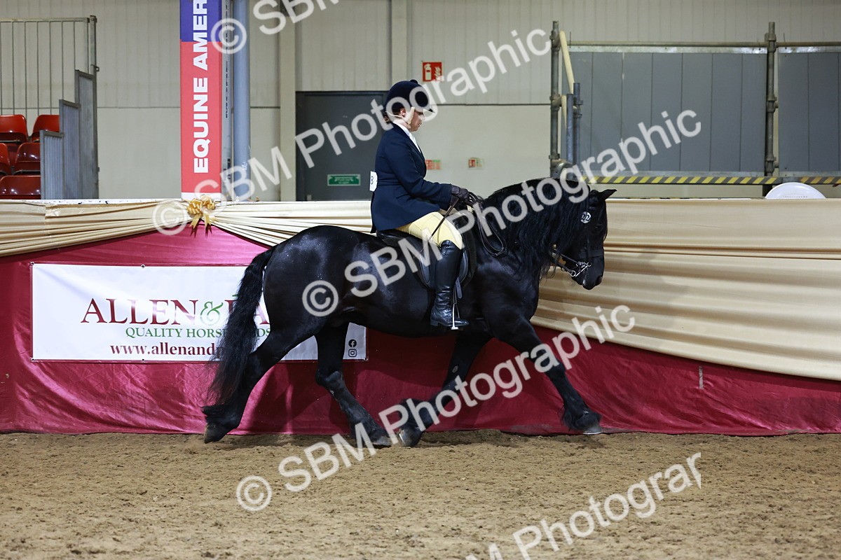 SBM_21345 - Class T - Working Veteran Champs