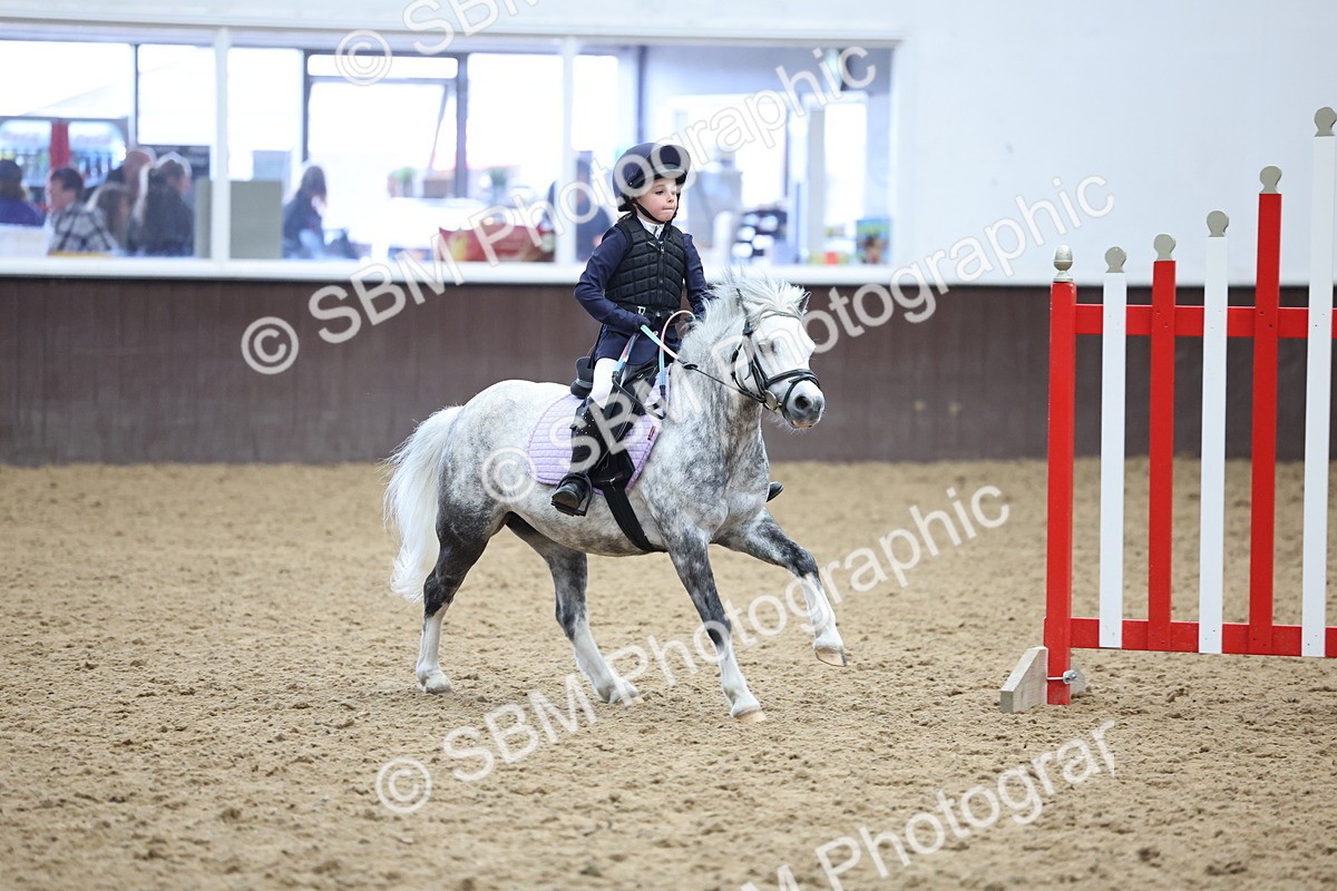 SBM_007387 - Class 2 - 50cm showjumping