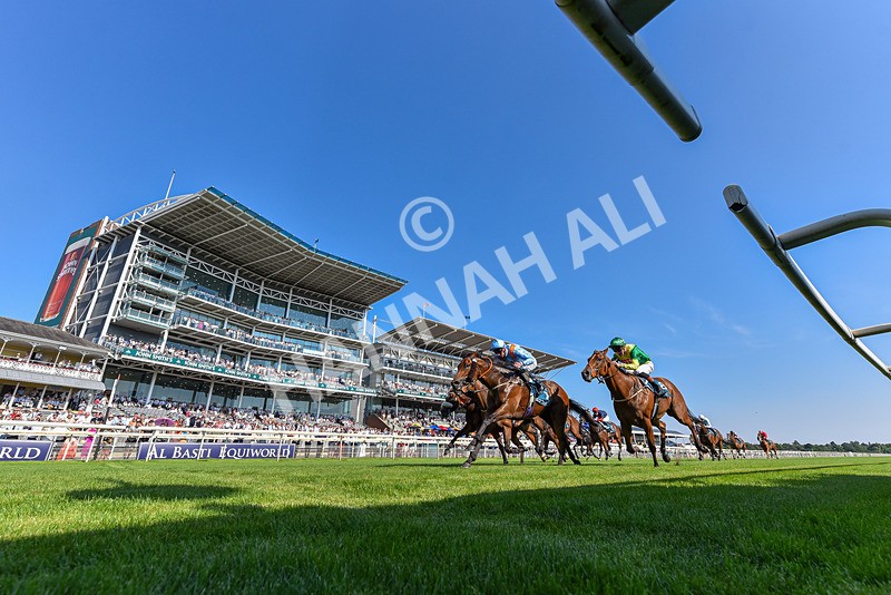 100726-Race 6-Ziggys Triton-2524 - Race 6 17.05pm William Hill Keep Your Raceday Positive Handicap