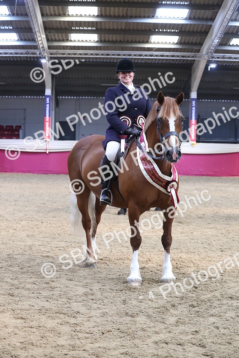 SBM_16517 - Class 502 M&M Ridden Supreme Final