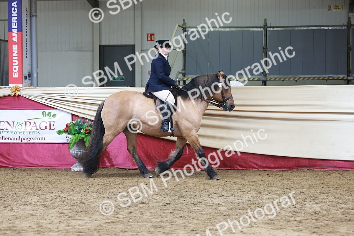 SBM_18541 - Class 952 - M&M Ridden Supreme Final