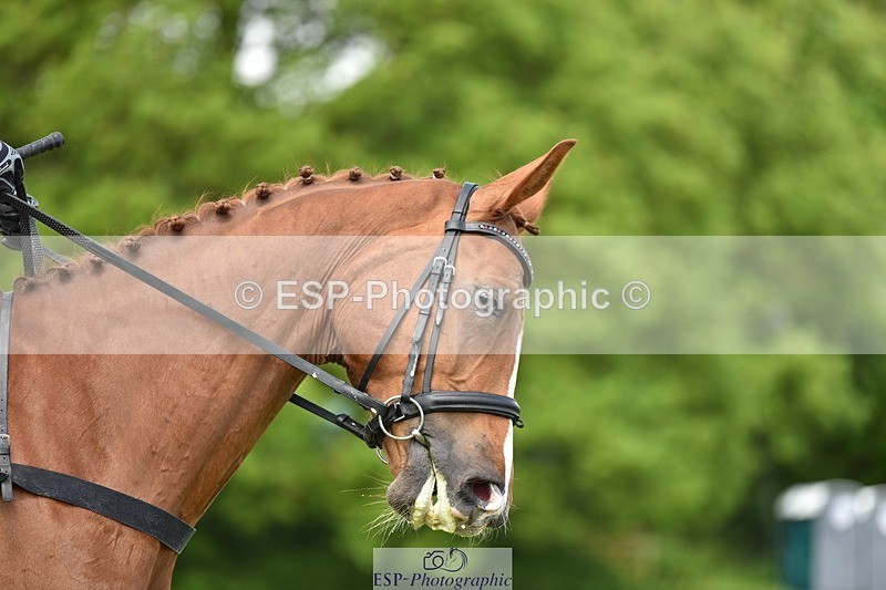 240523B-132350-02404 - 5 Year Old