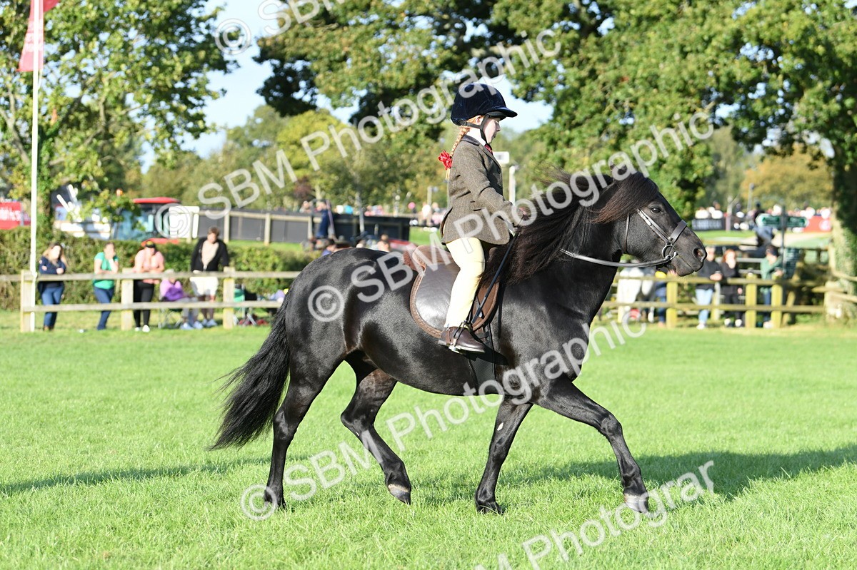 SBM_54069 - S23 - 1st Ridden Mountain & Moorland Pony