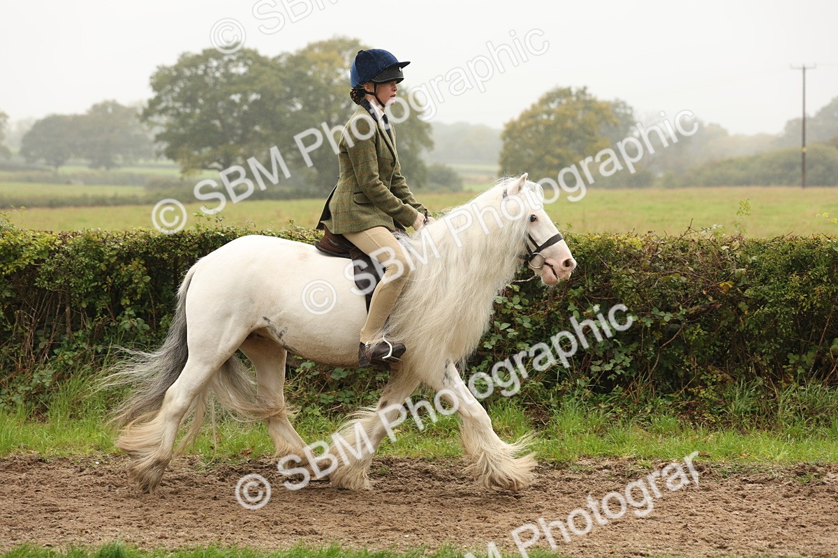 SBM_72700 - S70 - Traditional Cob Ridden