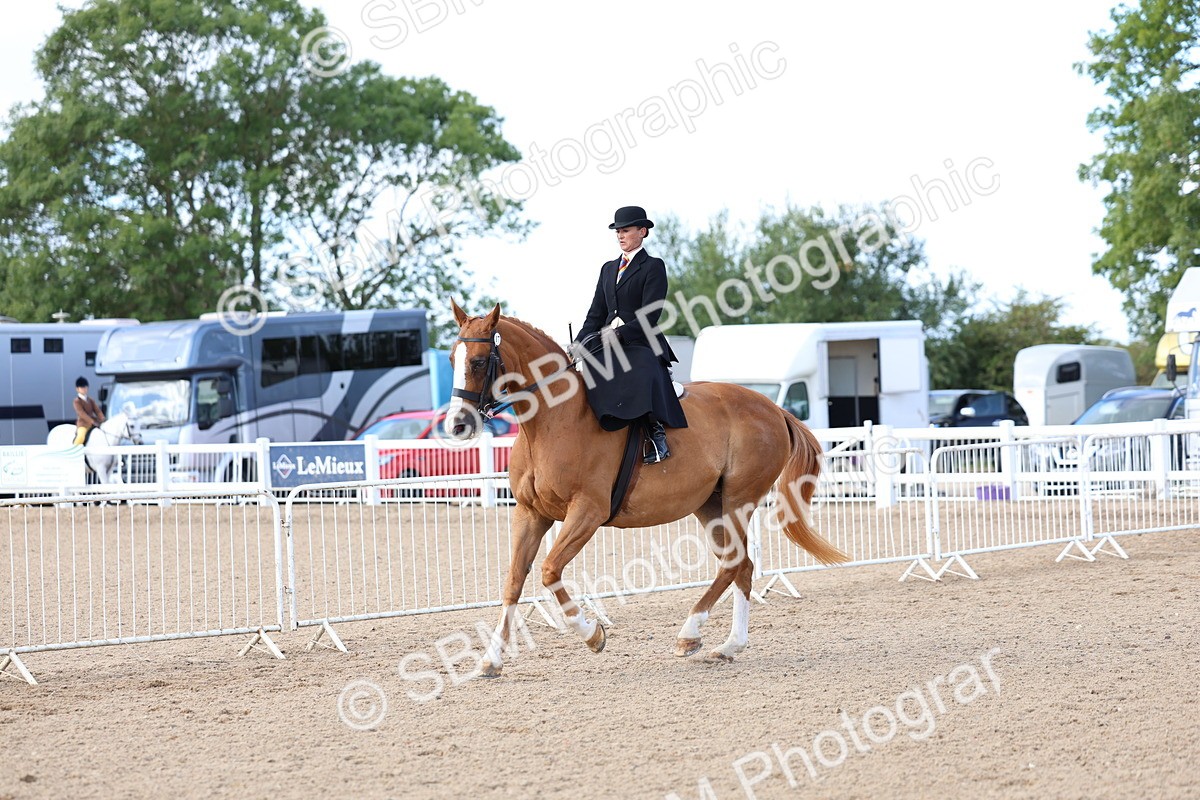 SBM_11204 - Class 306 - Ridden Foreign Breeds - Part Bred