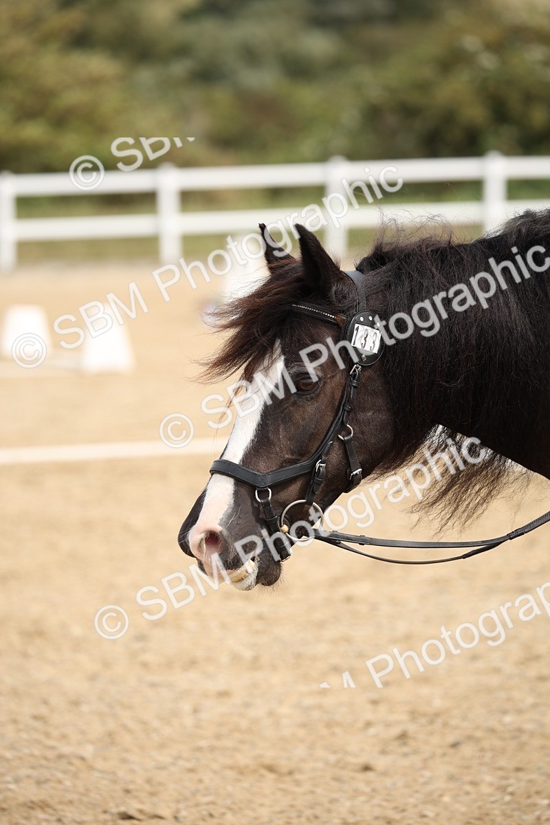 SBM_019781 - Class 22 - Medium 73 - 10.36 11.32