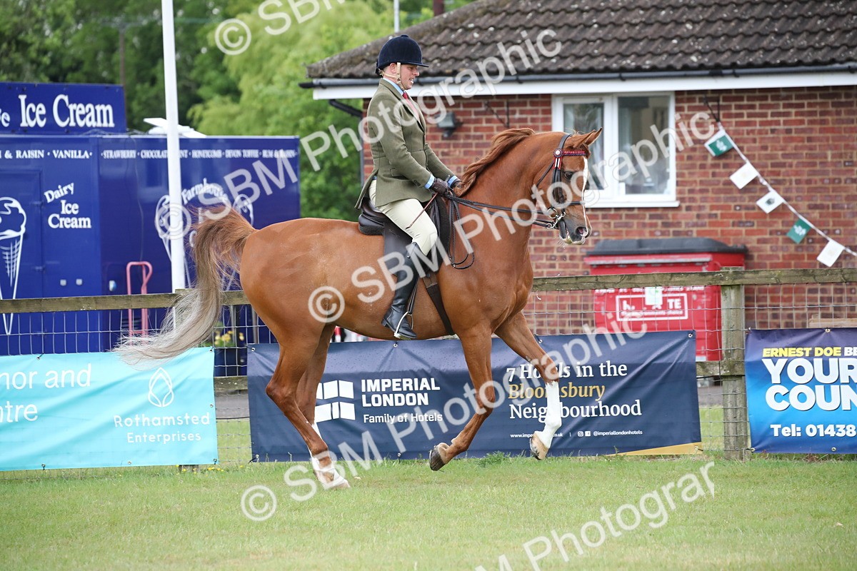 SBM_03612 - Class 21 - 22 - Ridden Arab and Part Bred/Anglo Arab