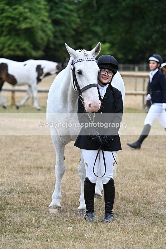 WJ7_9203 - Class 4a Prettiest Mare 14.2hh and over