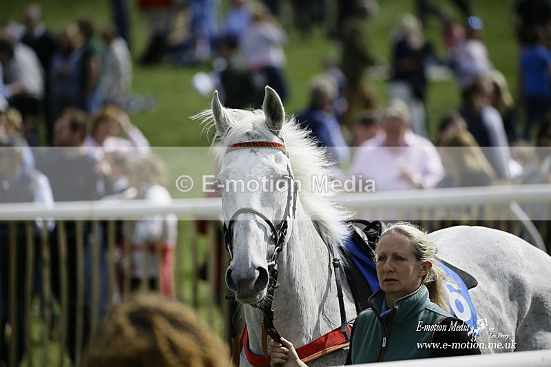PtP 180422 33 - Old Berkshire PtP Lockinge 18/04/22
