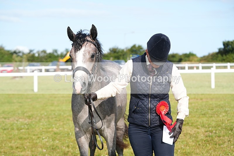 DSC04851 - Class 47: NPS M&M Yearling