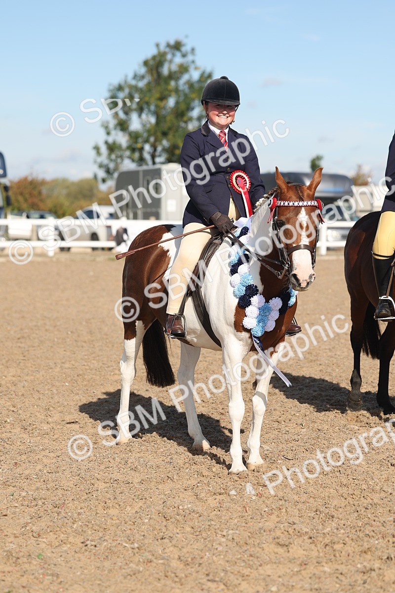 SBM_12406 - Class 304 - Ridden part Bred Horse Pony