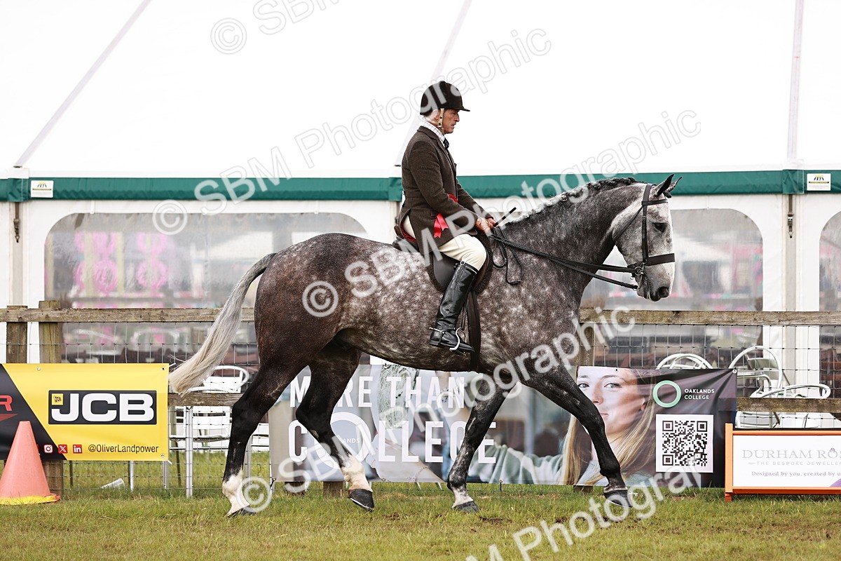 SBM_11541 - Class 81-84 - RIHS Ridden hunters Inc Ladies Hunter