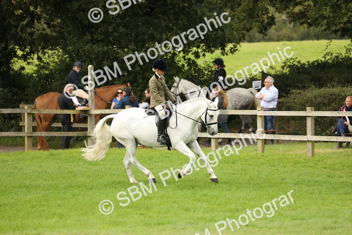 SBM_71682 - S41 - Ridden Equitation (Best Rider)