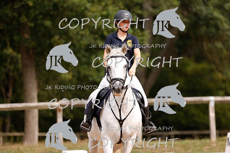 _R6A2444 - Dressage Morning