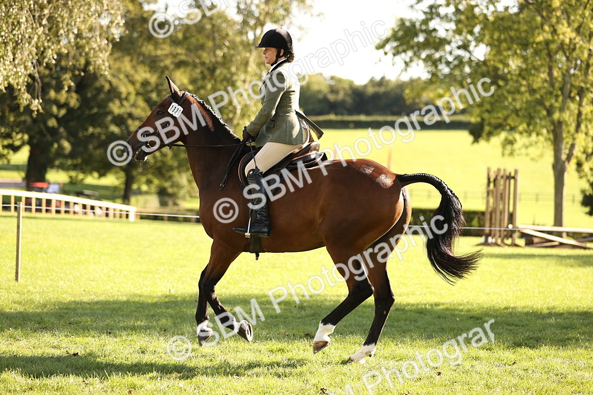 SBM_26463 - S6 - Novice & Newcomers Ridden Horse