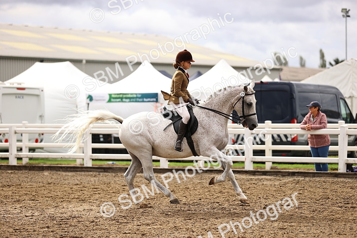 SBM_00558 - Class 53 - Ridden Competition Horse Pony