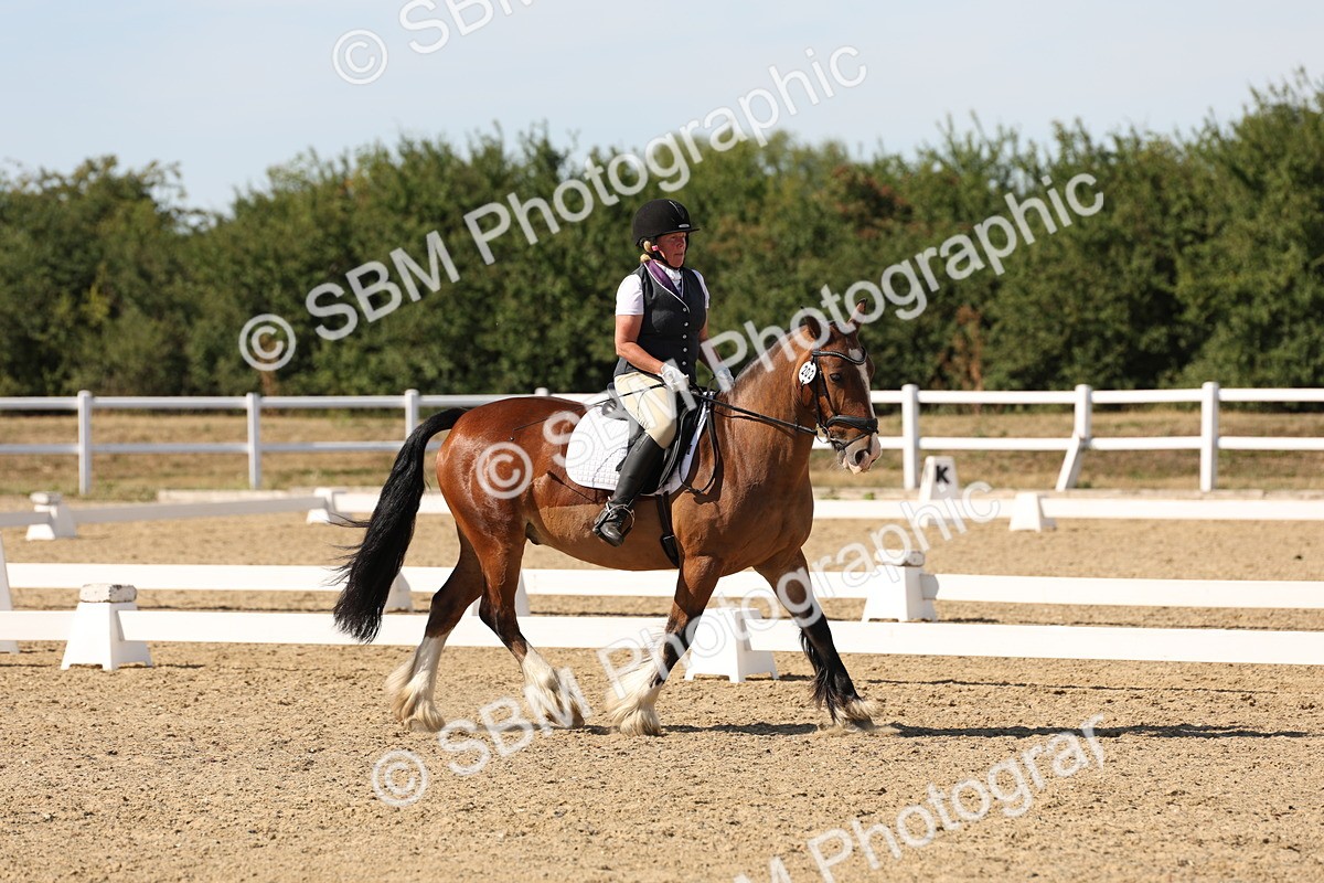 SBM_003800 - Elementary 4