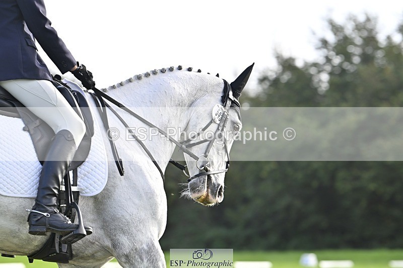 241025-152254-09812 - 593-Abbie.Burbidge-BLUEBIRD