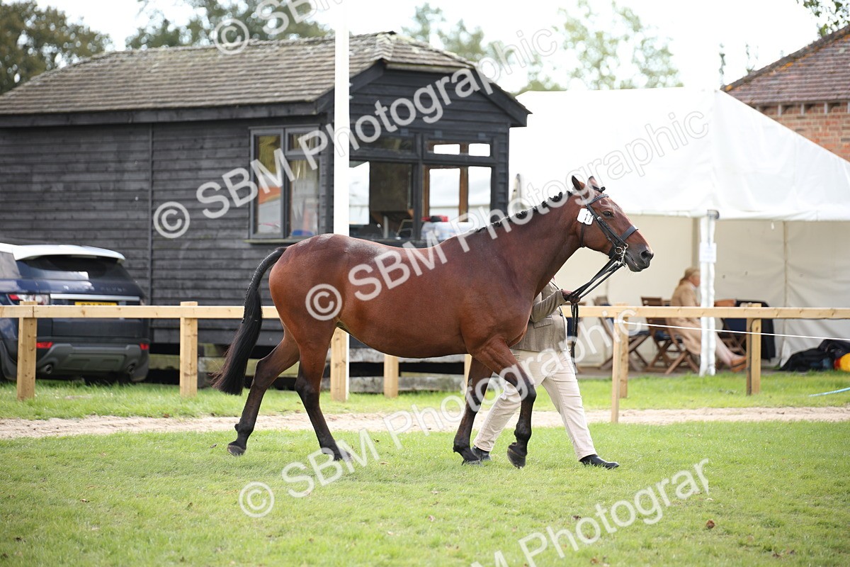 SBM_44358 - S24 - Young Veteran in hand