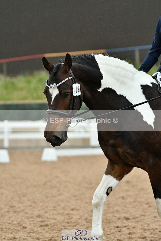 230630A-121217-01807 - Cls 7 Elementary 45