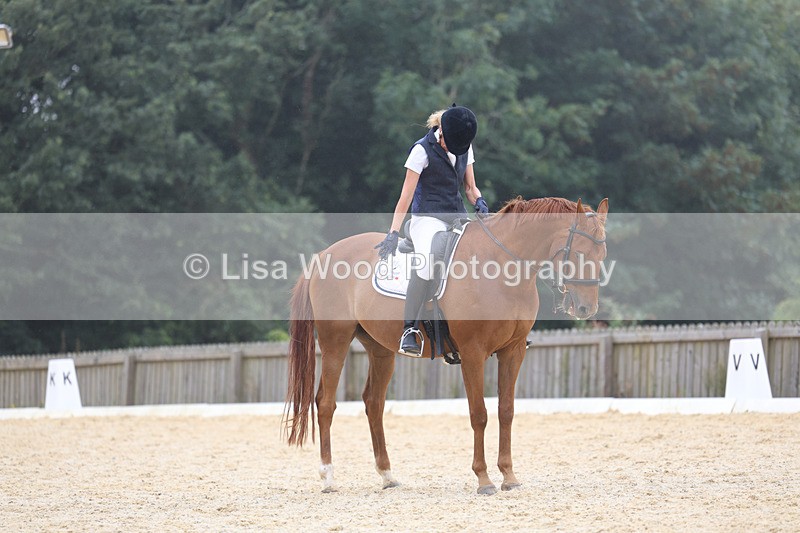 3E7A7411 - Class 9: Elementary 4 2024 - No sections