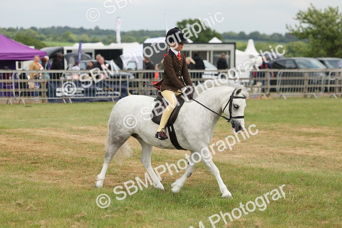 SBM_06868 - Class 74-75 - M&M Lead Rein and First Ridden Pony