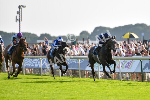 yr05092021r6-13 - Race 6 4.50pm Hanson Spring Stakes